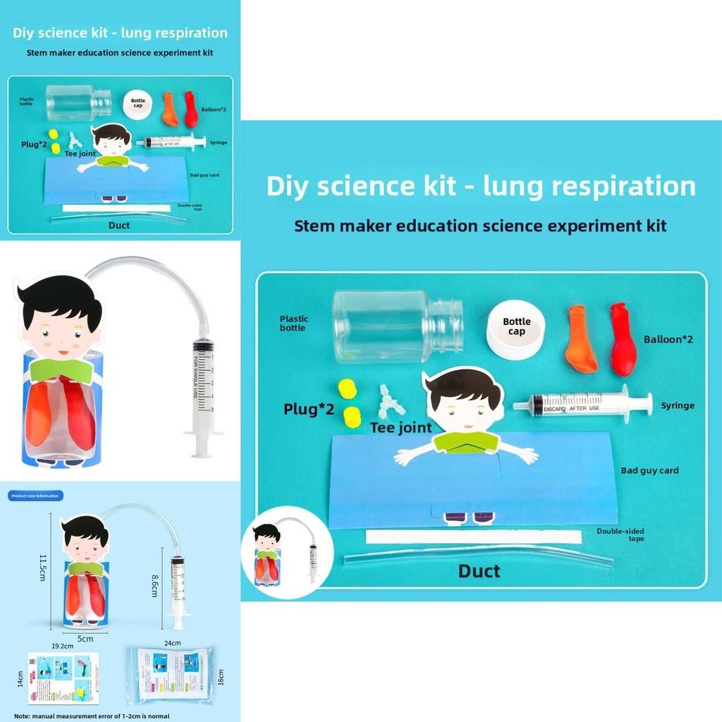 Kids Diy Physiology Model Of Lung Movement For Science Education And Handson Learning
