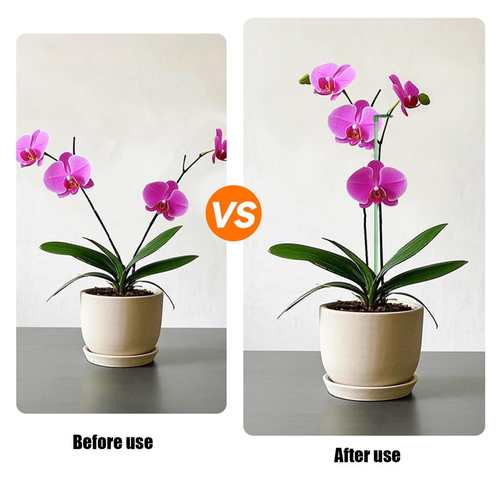 Plant Support Ring Support Reusable Poles Flower Stakes For Indoor Plants For Flower Tomato Vegetable Peony Orchid Outdoor