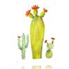 Cactus Illustration D Texture Metal Poster Customized Wall Art Tin Sign Gift for Mancave Vintage Retro Decoration Gaming House