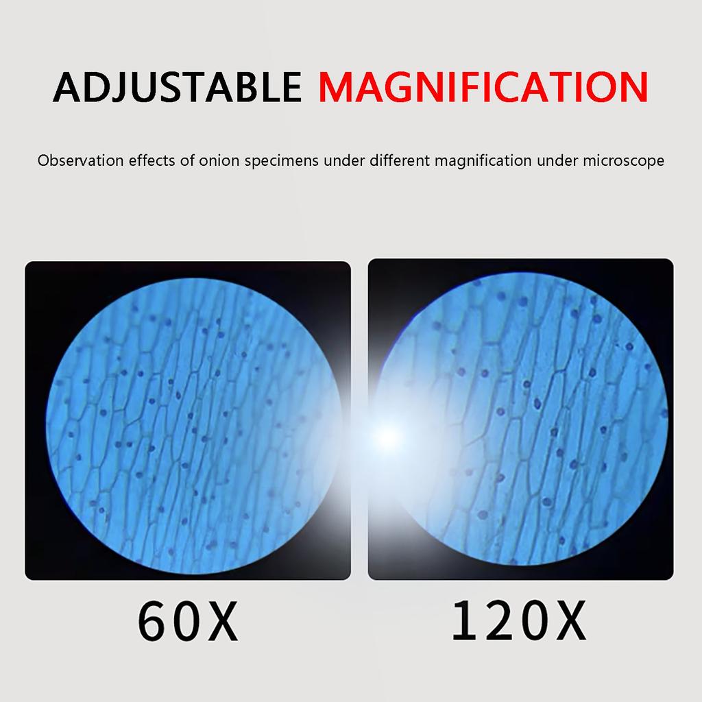 Children's Hand-Held Portable Optical Microscope Toy Microscope Biological Science Experiment Pupil Gift
