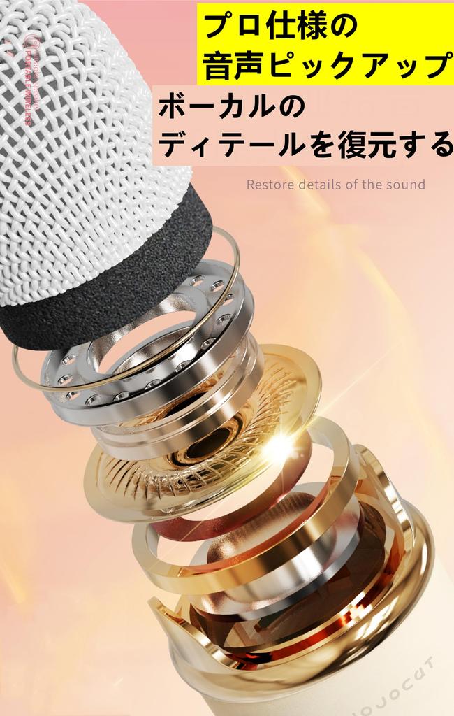 Compact Karaoke Karaoke Set with Bluetooth Speaker and Rechargeable Wireless Microphone for Home Volume Portable Bluetooth Wireless Automatic Speaker