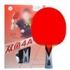 Double Fish 4-Star Table Tennis Racket