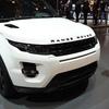 Range Rover Logo Decals In Matte And Glossy Options For Vehicle Decorations