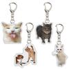 Lightweight Cat Head Keyring Cat Head Backpack Hanging Ornament  For Backpack Decoration