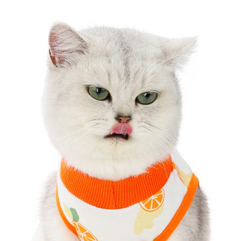 Pet Recovery Suit Soft Thin Breathable Prevent Licking Cotton Print Cat Post Surgery Shirt for Indoor Outdoor orange M