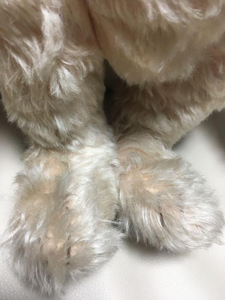 [USED] Steiff Teddy Rose Japan Limited Edition 2500 White Tag Teddy Bear