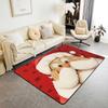 Cartoon Santa Claus Printed Carpet Home Living Room Decor Mat Christmas Non Slip Rug for Bedroom Kitchen and Entryway Doormats
