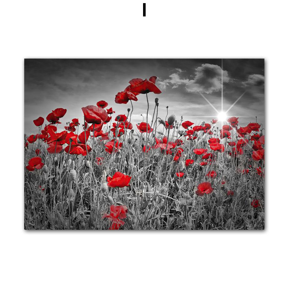 

Модные Парижские леди, красный винтажный автомобиль, черно-белые постеры на скандинавскую тему и принты, настенная живопись на холсте, настенные панно для гостиной 30X40 cm No Framed