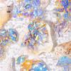 Yuxian Seashell Light Gold PET Sticker Pack: Crystal Tide Series - 20 Pieces, 4 Styles, Jellyfish Collage Material.