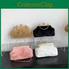 Stylish Autumn Winter Plush Handbag 2023 Trendy Simple Chain Shoulder Bag