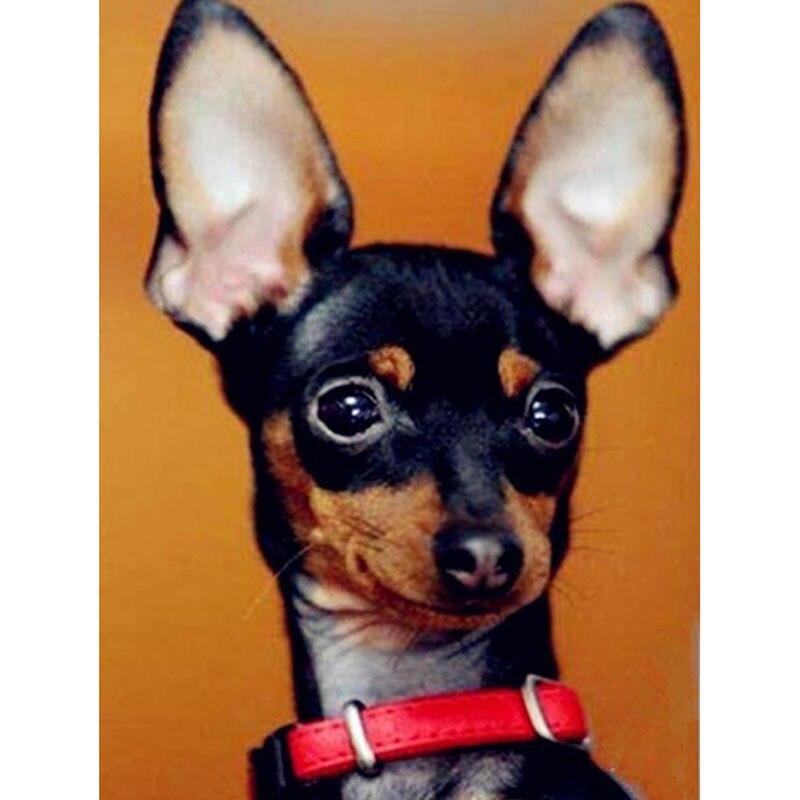 

Новый 5D DIY алмазная живопись милая собака Алмазная вышивка животное вышивка крестиком полная квадратная круглая дрель ремесла искусство домашний декор подарок Full Round 30x40CM