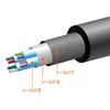 Sanwa Supply USB 20Gbps Type-C Cable (Single Screw Lock, 240W, 1m) KU-20GCCPESSL10