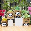 Panda in Box Theme Mini Flower Pot, Perfect Indoor Planters for Mini Succulents & Cacti, Cute Desk Pots for Home Decor
