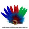 Lightweight Comfortable Feather Hairband Fashion Festival Hairpiece Costume Headband for Women Seeking A Unique Look