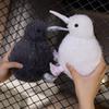 20-35cm Kawaii Plush Simulation Kiwi Bird Plush Toy Cute Stuffed Animals Soft Doll Kids Toys For Children Birthday Gift