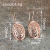 Creative geometric earrings, stylish high-end hollow carved ear hooks, exquisite and elegant versatile earrings