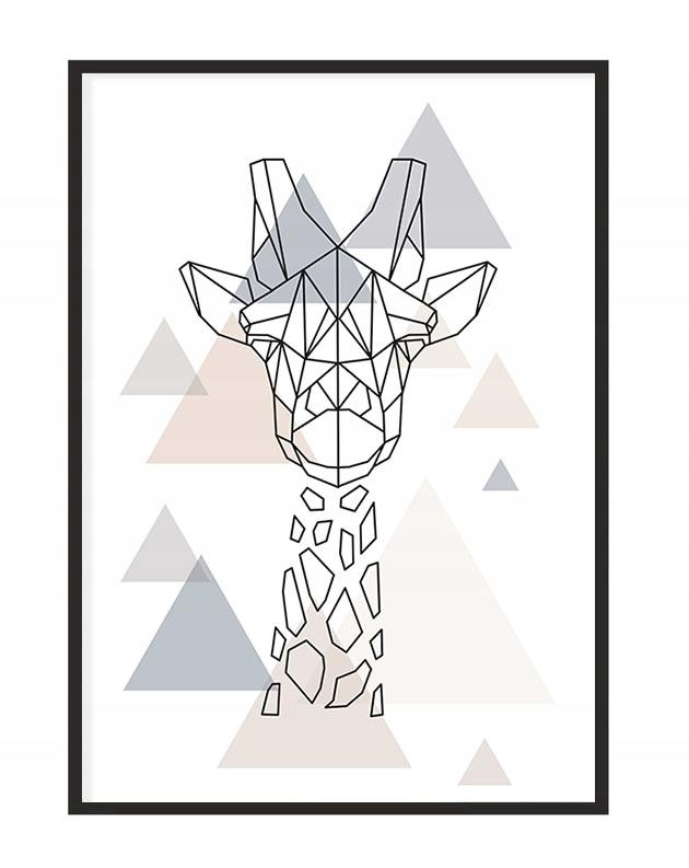 Obraz plakat w ramie 43x33 cm żyrafa p1183