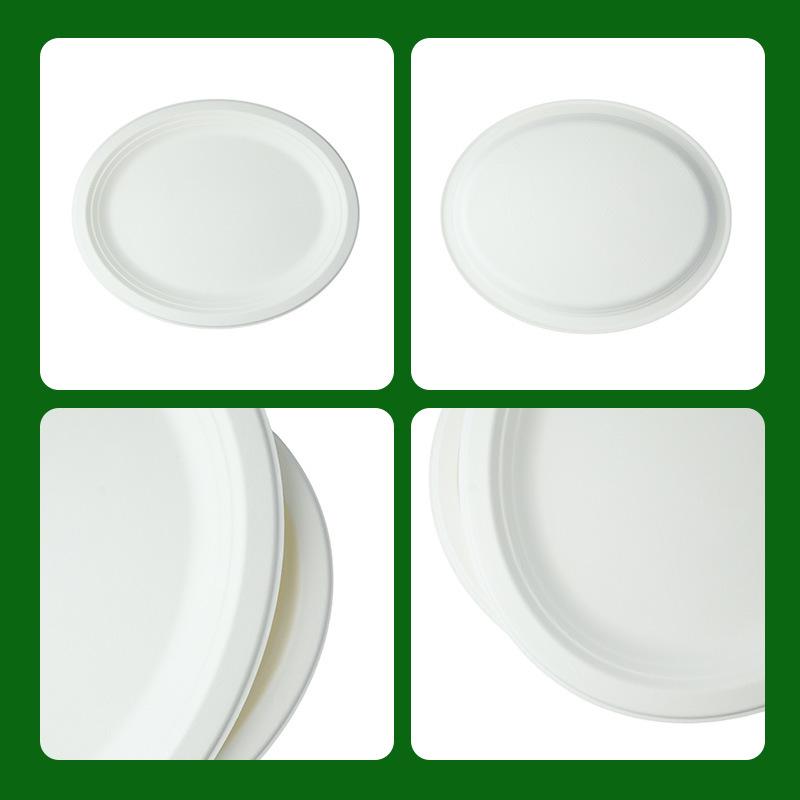 Biodegradable Oval Sugarcane Plates: Eco-friendly Disposable Tableware for Parties