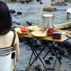 Stainless Steel Serving Plates 10 Inches Dinner Dishes Metal Camping Plate for BBQ Snack Golden