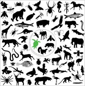 

12inch Record STRANGERS FROM PLANET VENUS - Turtle Edits WLF002 WILDLIFE 2009 UK Dance & Electronica Used