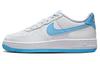 Air Force 1 Low White Aquarius Blue GS FV5948-107