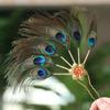 Temperament Peacock Feather Hairpin Ethnic Dance Hair Stick Hairstyle Design Tool Hair Accessories