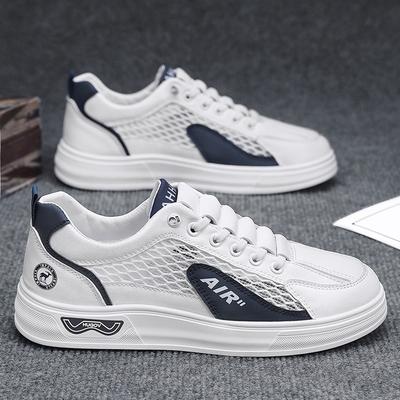 Mesh Men's Shoes Summer 2025 New Board Shoes Student Casual Little White Shoes Youth Breathable Flat-bottomed Trendy Shoes Men's
