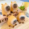 Creative Capybara Squeeze Toy for Stress Relief and Venting, Perfect Prank or Student Gift