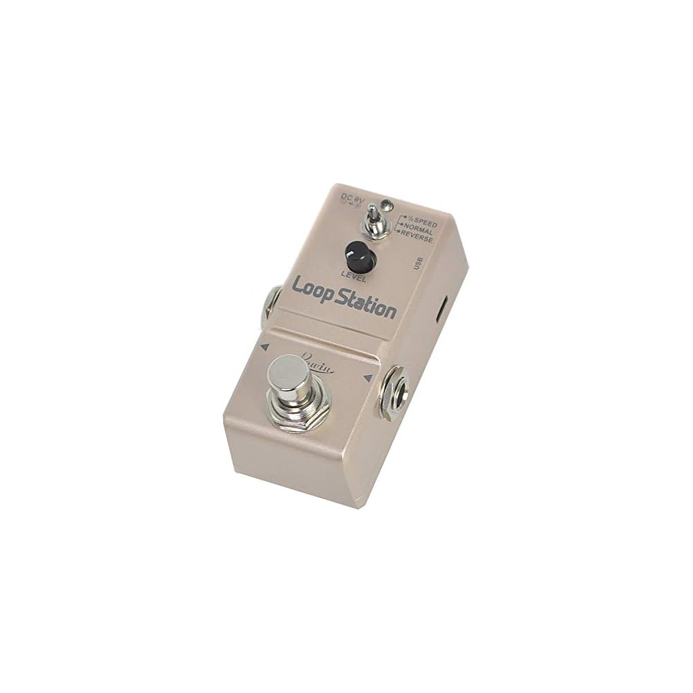 ROWIN Loop Station Guitar Effects Pedal