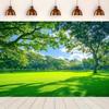 2D Üppiger Grüner Park Kulisse Bäume Rasen Sonniger Außen Fotografie Hintergrund