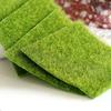 Mini emulație gazon ornament de grădină lichen Craft oală Zână Dollhouse Decor DIY