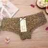 Cute Lace Low Waisted Panties with Mesh and Sexy Women's Panties