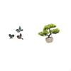 Wooden Bird Wall Art And Artificial Bonsai Tree Collection for Garden Study Room Farmhouse Table