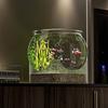 Transparent PET Material Wear-Resistant Desktop Hydroponic Goldfish Tank - Durable and Varied Styles