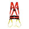 Ruifulaik Five-Point Fall Protection Safety Harness