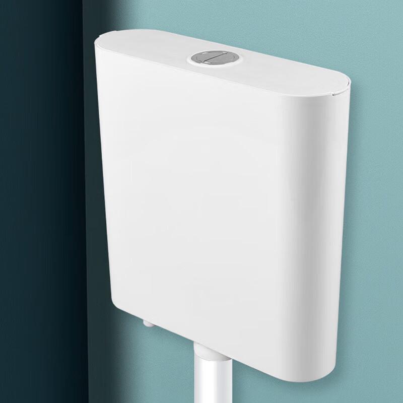 Bingyu Wall-Mounted Dual-Flush Toilet Cistern