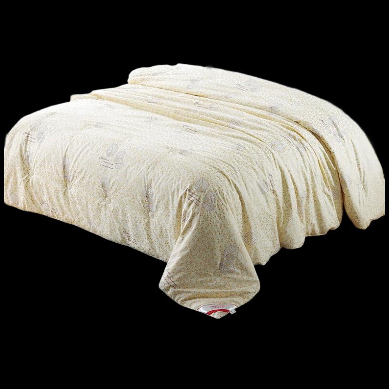 

Caiyang All-Season Mulberry Silk Quilt