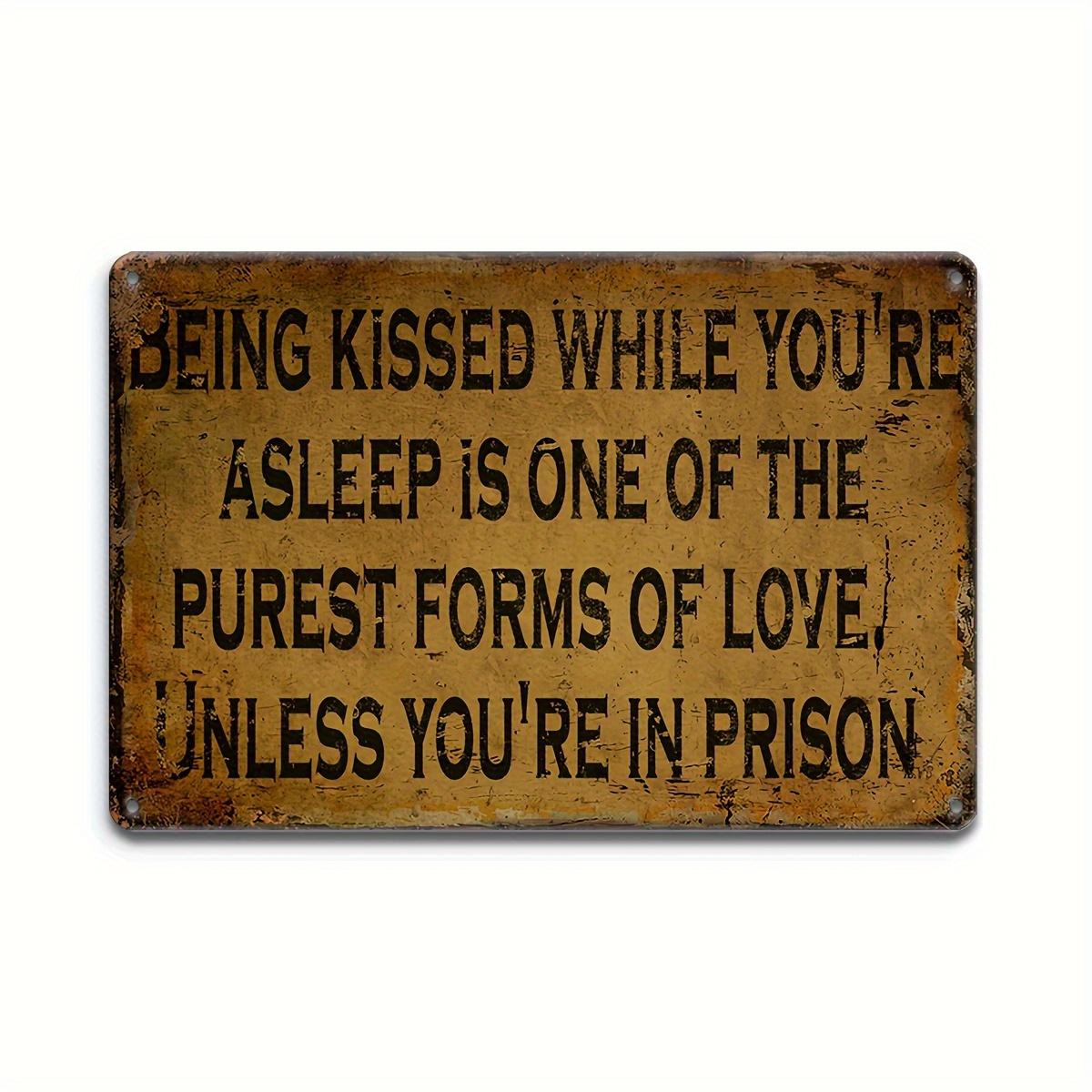 , Retro Metal Aluminum Sign (), BEING KISSED WHILE YOU RE ASLEEP Funny Vintage Sign, Poster for Outdoor Wall 20X30CM