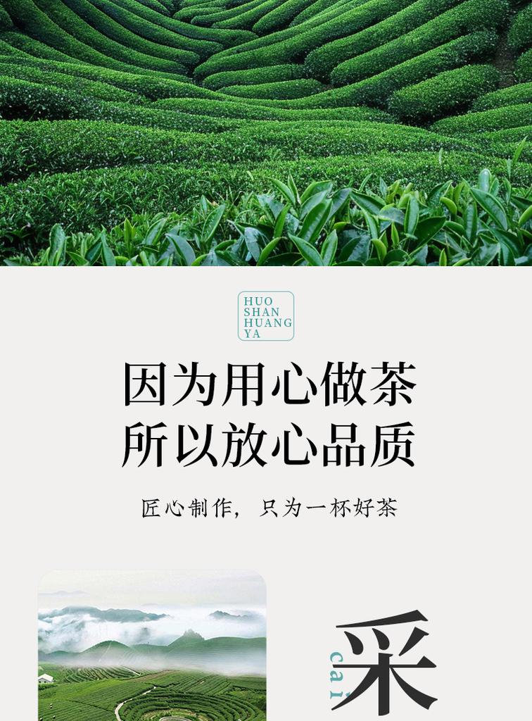 Xiaocha Diary Tea Yellow Tea Huoshan Yellow Sprout Bagged 125g Anhui Spring Tea Drink It Yourself