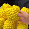 Finger Relax Crunchy Squishy Shapeable Blocks Filled Squishy Creative Durian Squishy  Adult Kids