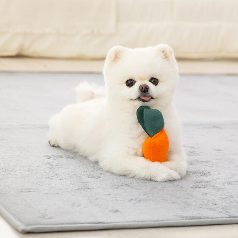 Welpen Nasenarbeit Blume Geräuschvolles Karottenfeld Decke Matte