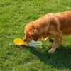Leak-proof Outdoor Dog Water Bottle Sealed Detachable Dog Water Dispenser Separate Wet and Dry Areas Press Design Pet Travel Cup