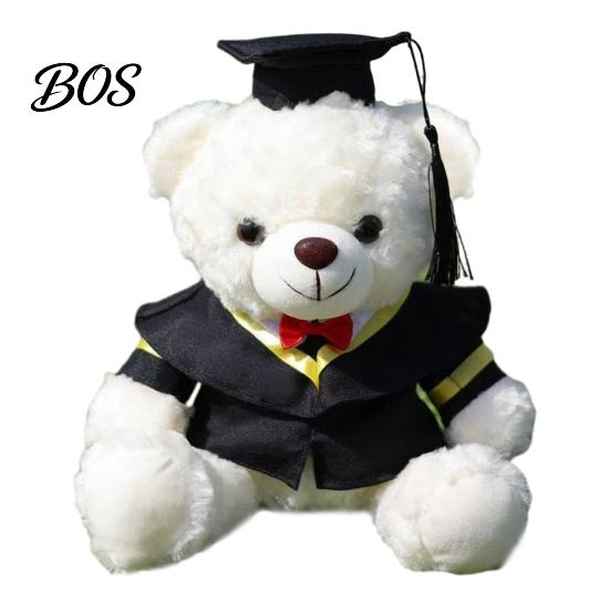 Luxury Gift Packaging Bear Personalized Graduation Gifts 2026 for Her, Cute Teddy with Embroidered Gown Award And Cap, Soft Plush Mascot College High