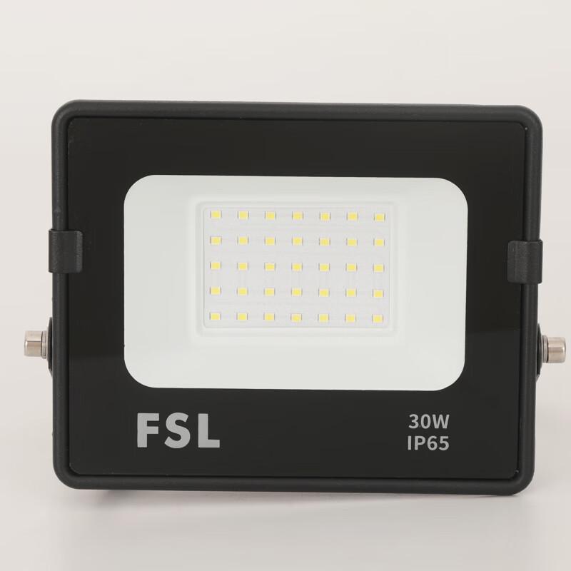 FSL Outdoor IP65 Waterproof LED Floodlight