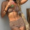 2026 Striped Towel Cloth Small Fresh Sexy Split Swimsuit Bikini