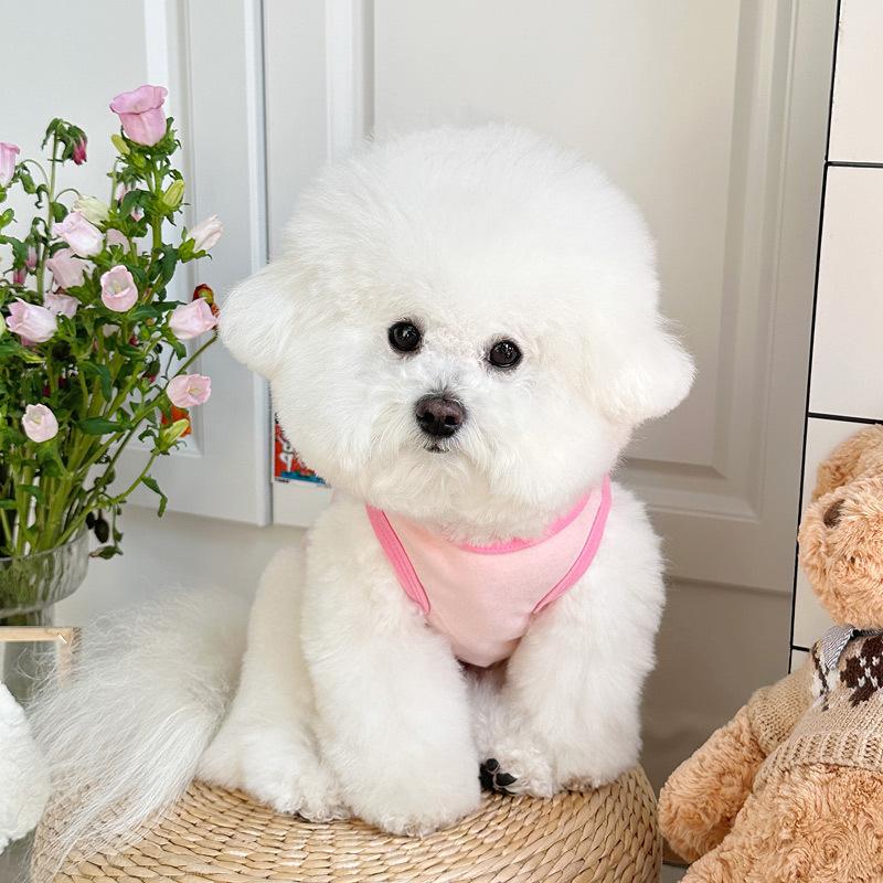 New Spring Collection of Pet Dog and Cat Clothes Teddy Bear and Poodle Embroidered Vests