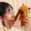 23cm Internet Celebrity Capybara Plush Toy Turtle Shell Backpack Capybara Doll Home Decor Children's Gift Plushies Capybara