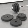 93599 vidaXL Weight Plates 6 Pcs 30 Kg Concrete