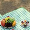 Outdoor Picnic Mat Waterproof Large 2x2.3m Folding Beach Blanket Portable Moistureproof Thickened for Camping and Spring Out