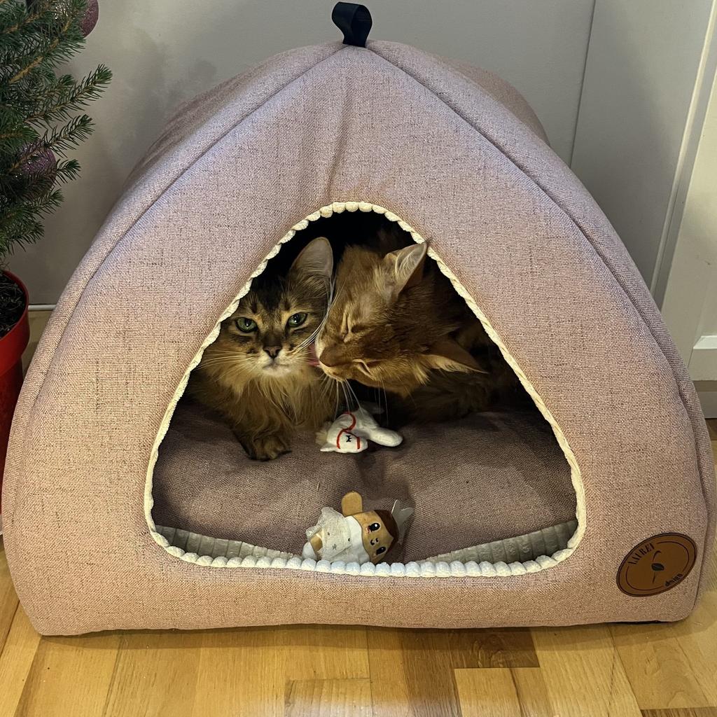 Bella Pink Doghouse 40cm x 40cm